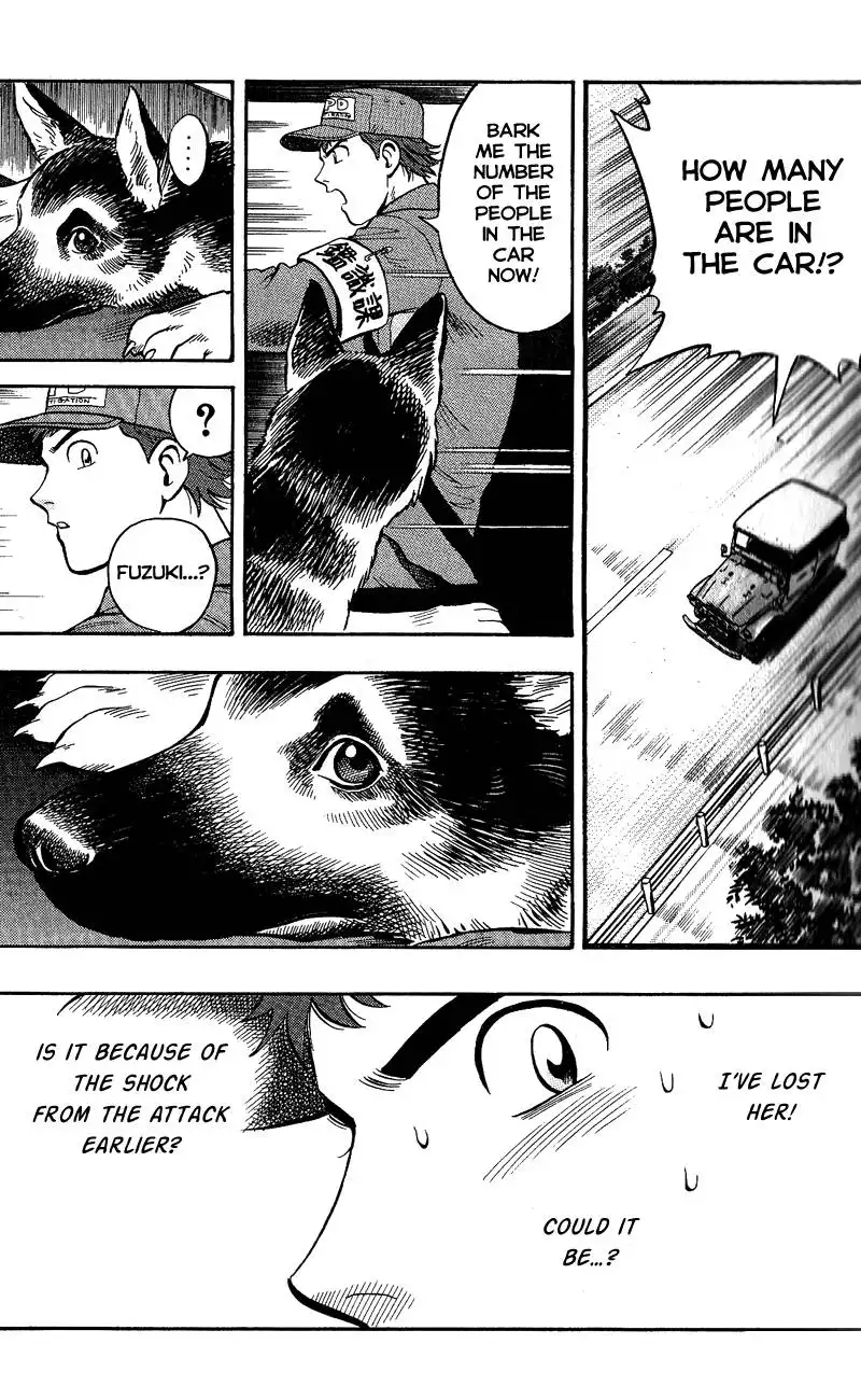 Animal Sense Chapter 9 16